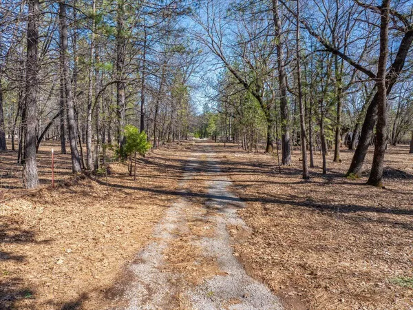 a view of a yard with trees
