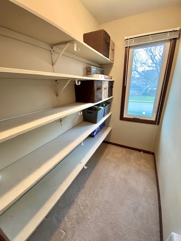 756 Ruth Drive Elgin, IL 60123 - Photo 32 of 41 Gallery Image 32