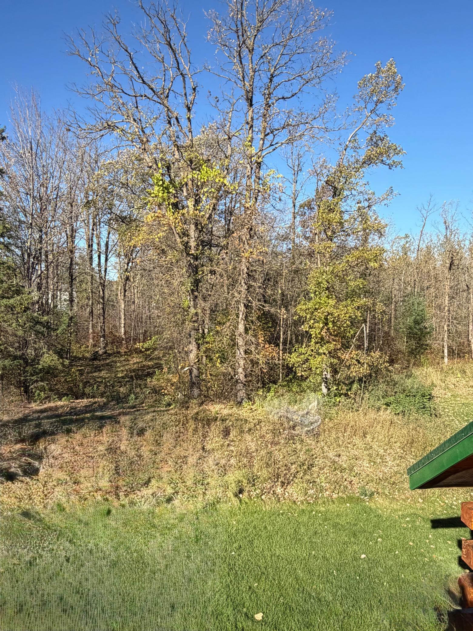 17256 Trengove Road Northwest Solway, MN 56678 - Photo 46 of 69