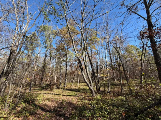 $479,900 | 17256 Trengove Road Northwest, Solway, MN 56678