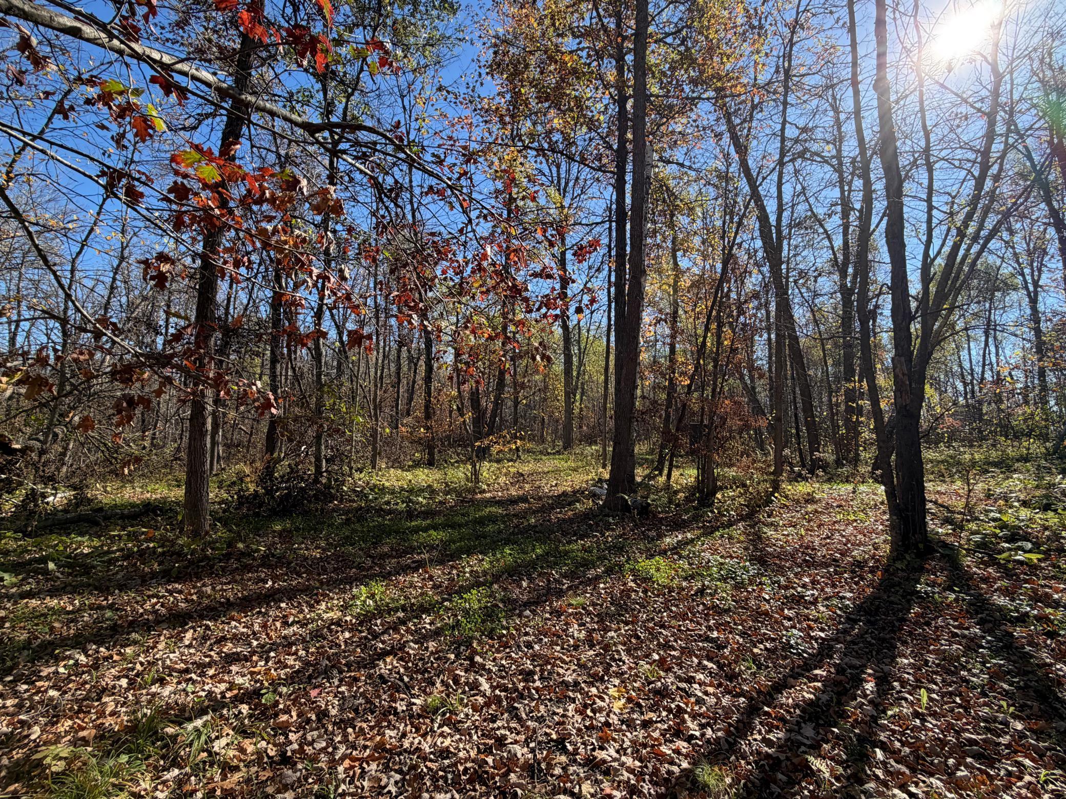 17256 Trengove Road Northwest Solway, MN 56678 - Photo 67 of 69