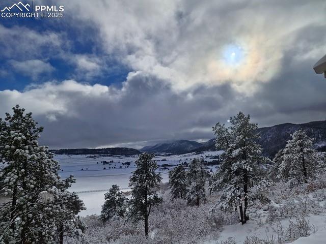 938 Spruce Road Larkspur, CO 80118 - Photo 3 of 47 Gallery Image 3
