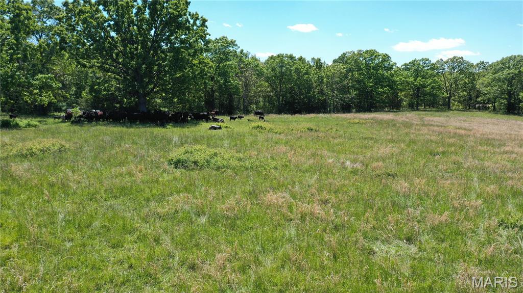 5 County Road Salem, MO 65560 - Photo 11 of 18