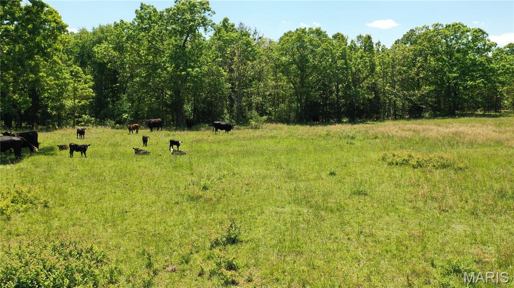 5 County Road Salem, MO 65560 - Photo 12 of 18