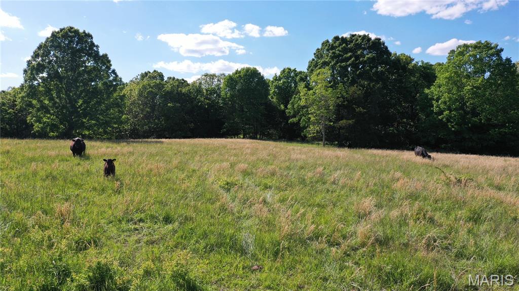 5 County Road Salem, MO 65560 - Photo 13 of 18