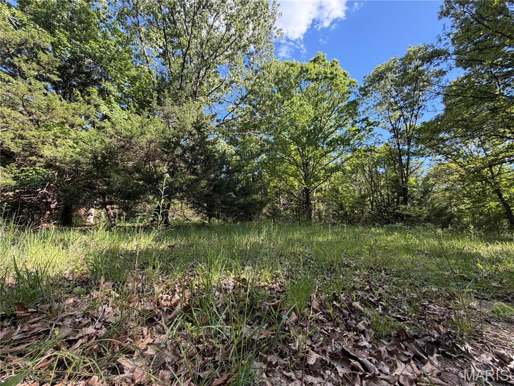 5 County Road Salem, MO 65560 - Photo 18 of 18