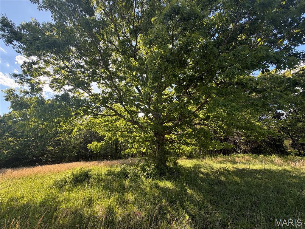 5 County Road Salem, MO 65560 - Photo 3 of 18