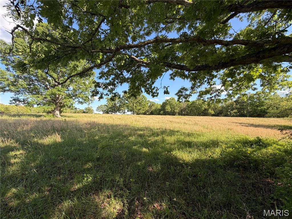 5 County Road Salem, MO 65560 - Photo 4 of 18