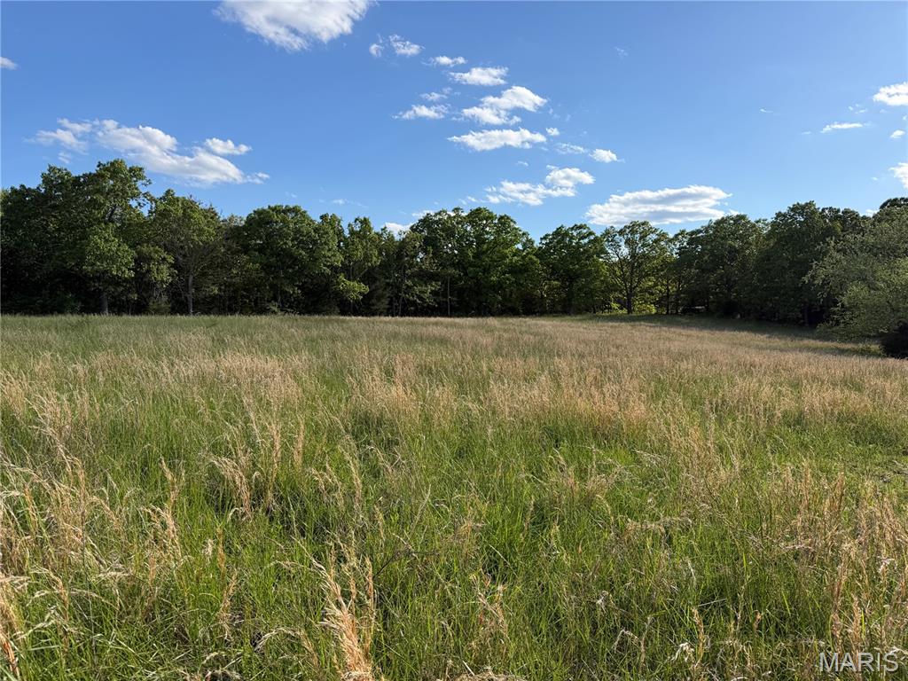 5 County Road Salem, MO 65560 - Photo 5 of 18