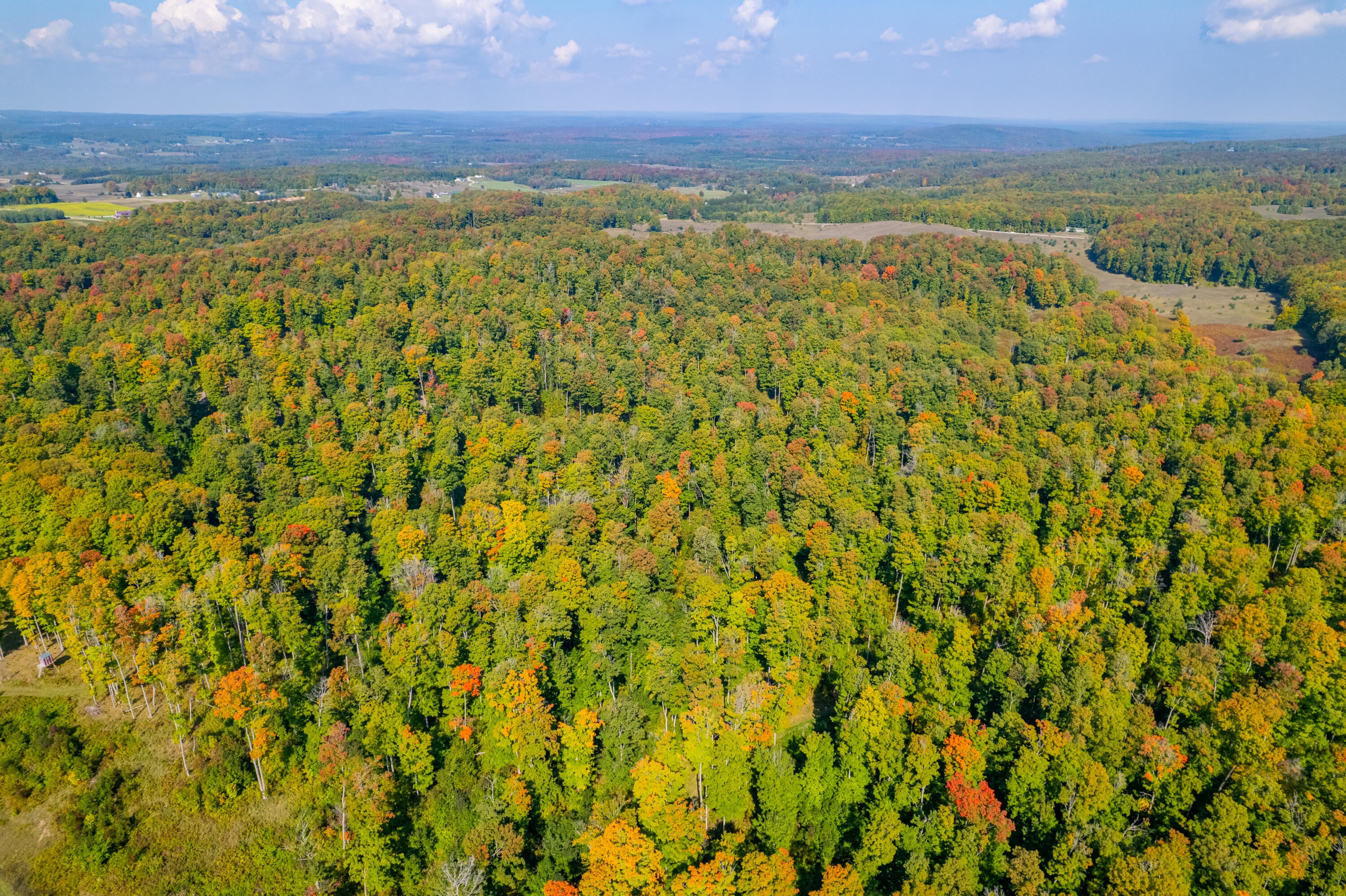 Seymore Road Gaylord, MI 49735 - Photo 20 of 27 DJI_0997-HDR