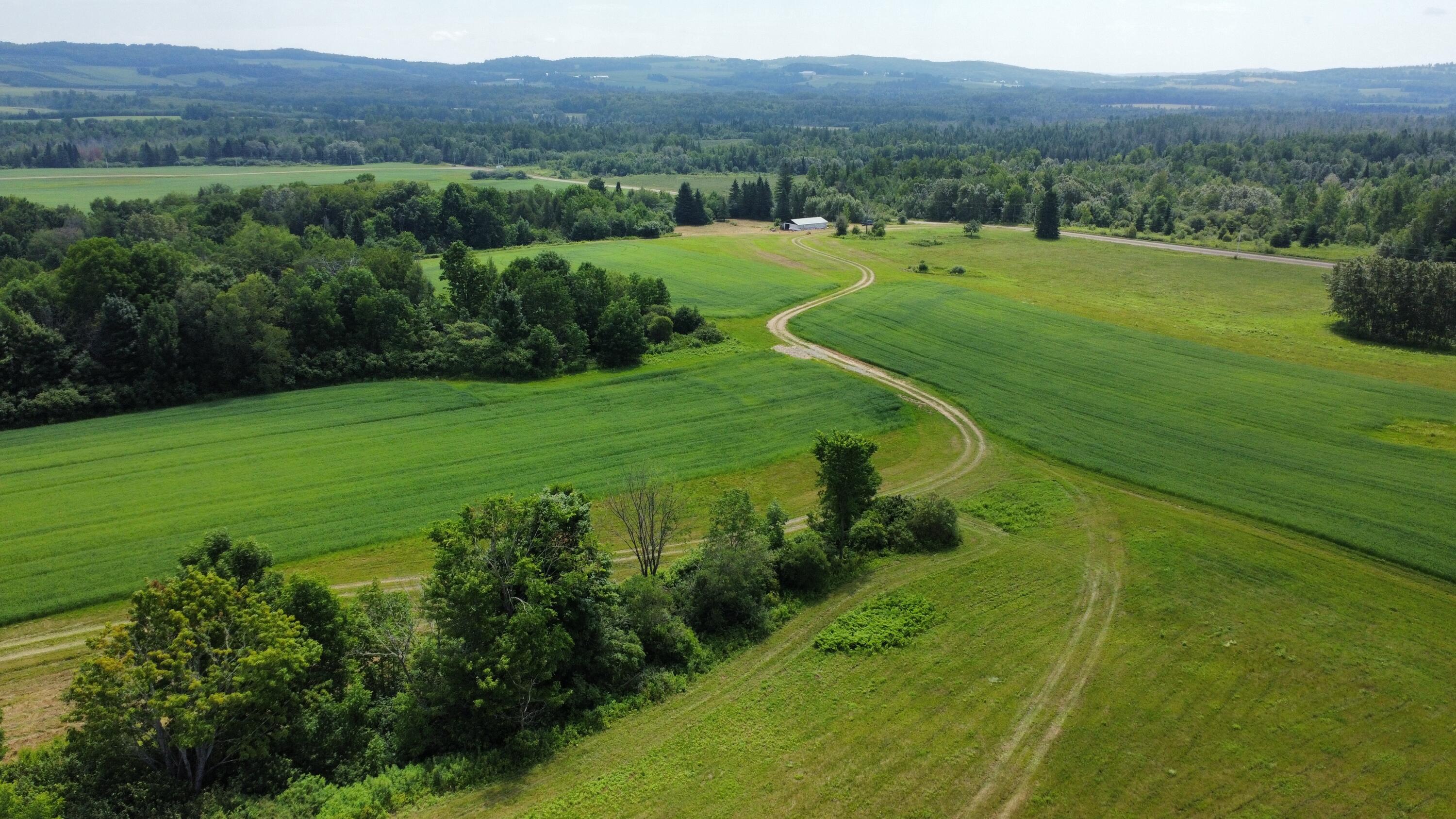 181 Gustin Road Blaine, ME 04734 - Photo 12 of 41 dji_fly_20240705_110654_490_172019202714