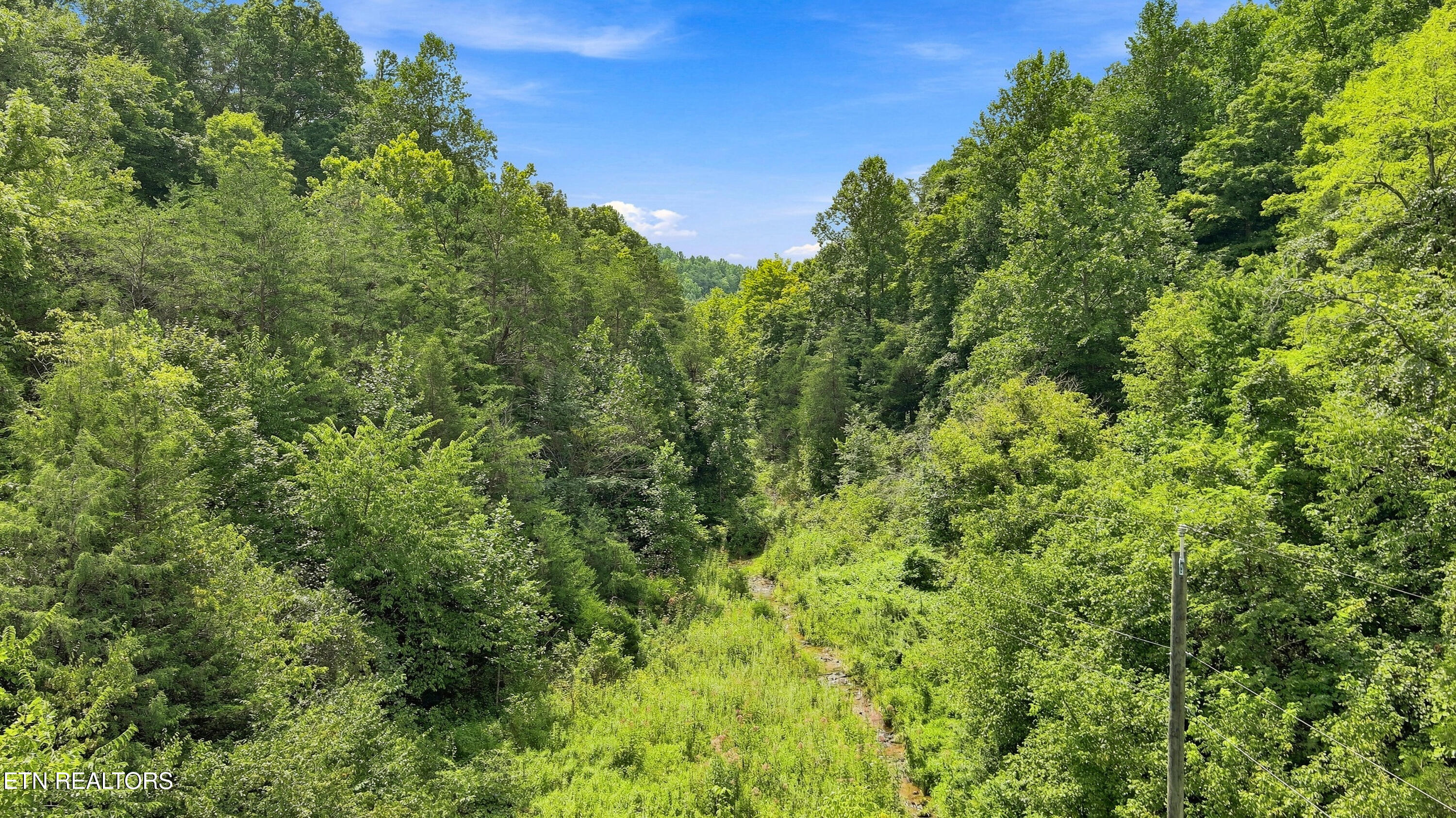 Gray Road Maynardville, TN 37807 - Photo 5 of 16 Gray RD TN