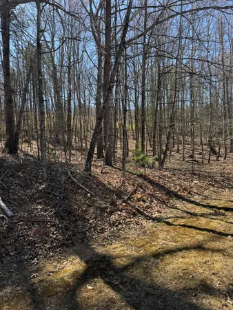 $19,900 | Lot 10 Navajo Circle, Henry, VA 24102