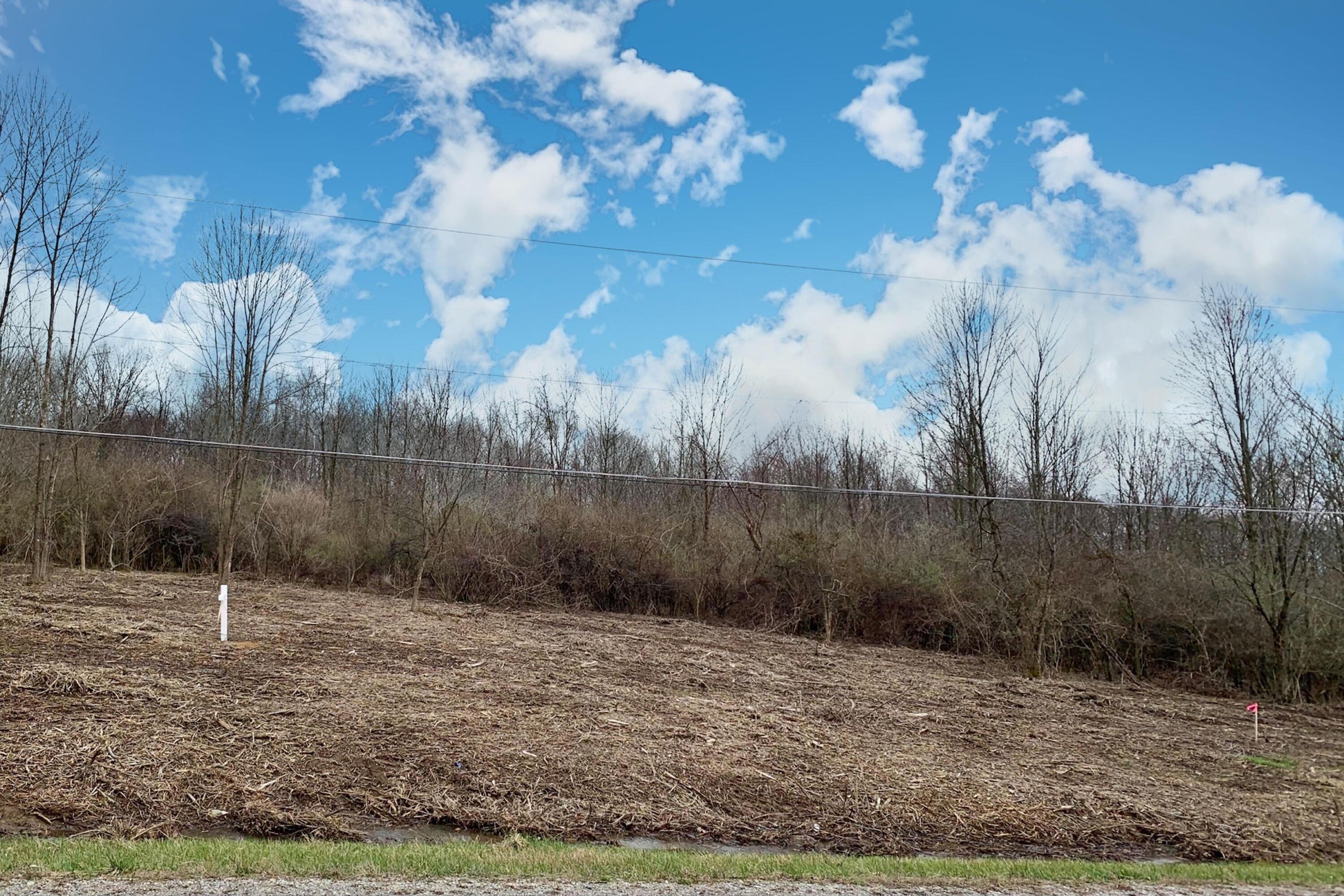 5563 Red Bank Road, Unit TRACT C Galena, OH 43021 - Photo 2 of 32 2.-Front-View-of-Lot
