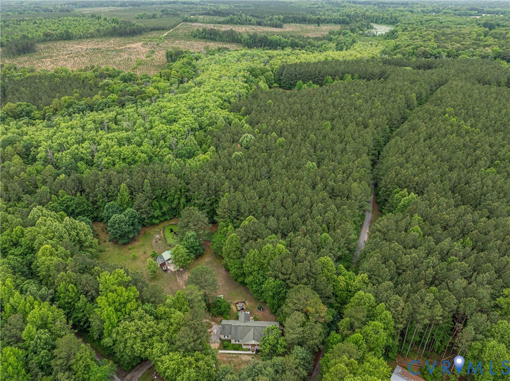 17200 Jolly Road Disputanta, VA 23842 - Photo 2 of 28