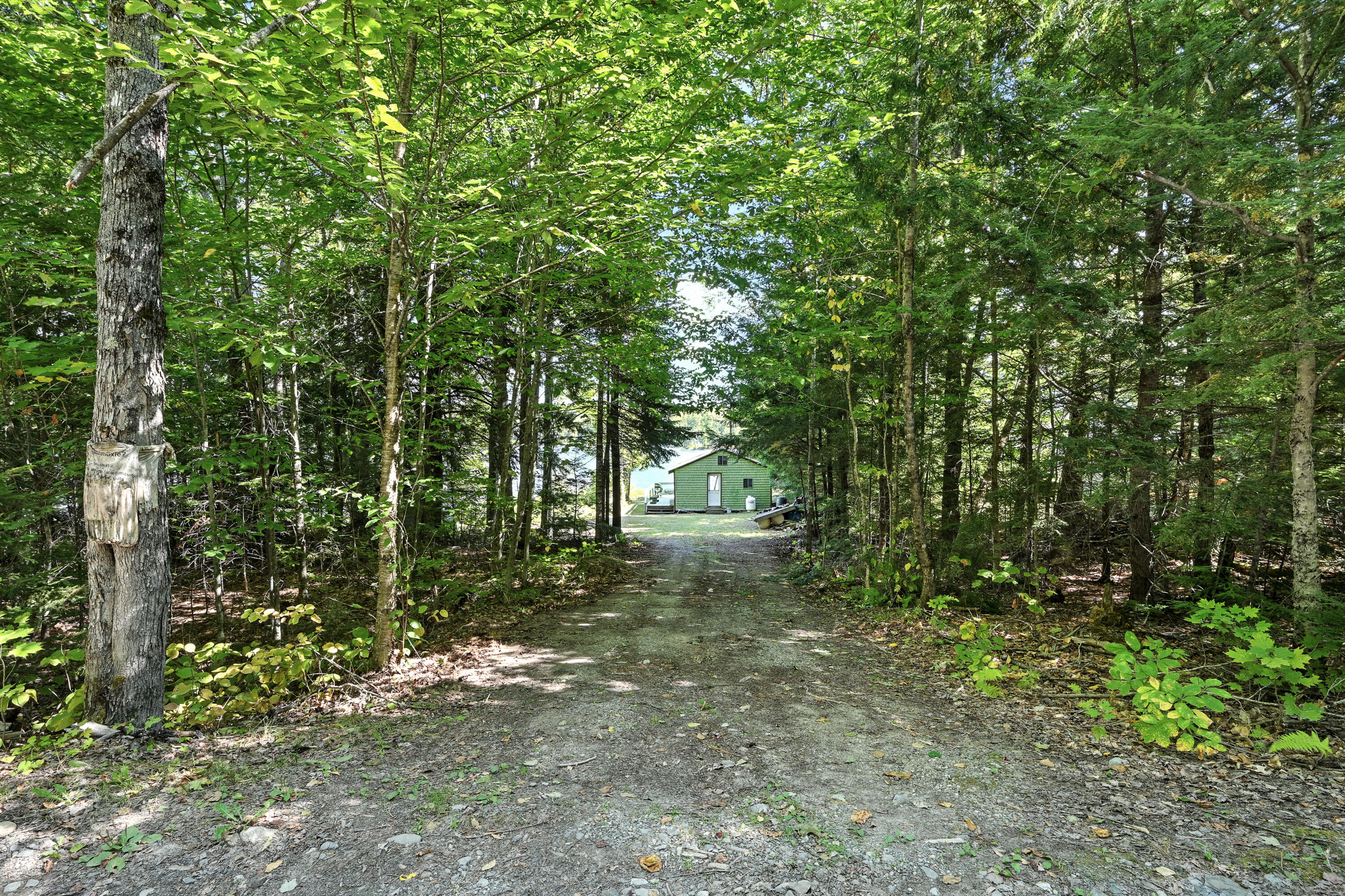 774 Troutdale Road West Forks, ME 04985 - Photo 6 of 12 110214gr-101