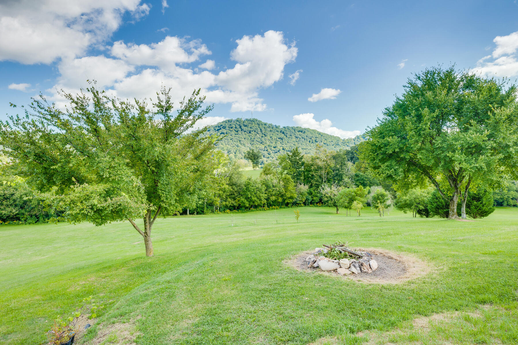 454 Webb Road Rogersville, TN 37857 - Photo 11 of 45 043