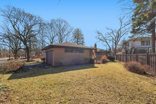 a view of a yard with a large tree