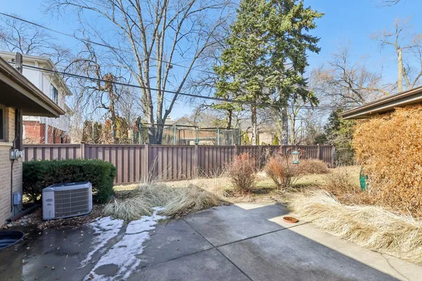 a view of a yard with plants and large trees