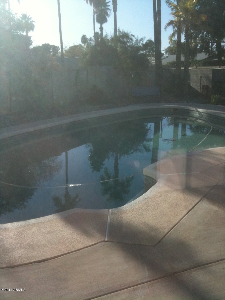 1602 East Redfield Road Tempe, AZ 85283 - Photo 5 of 5 Pool