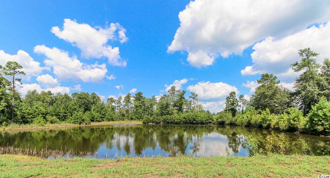 2580 Daisy Road Loris, SC 29569 - Photo 23 of 24 Gallery Image 23