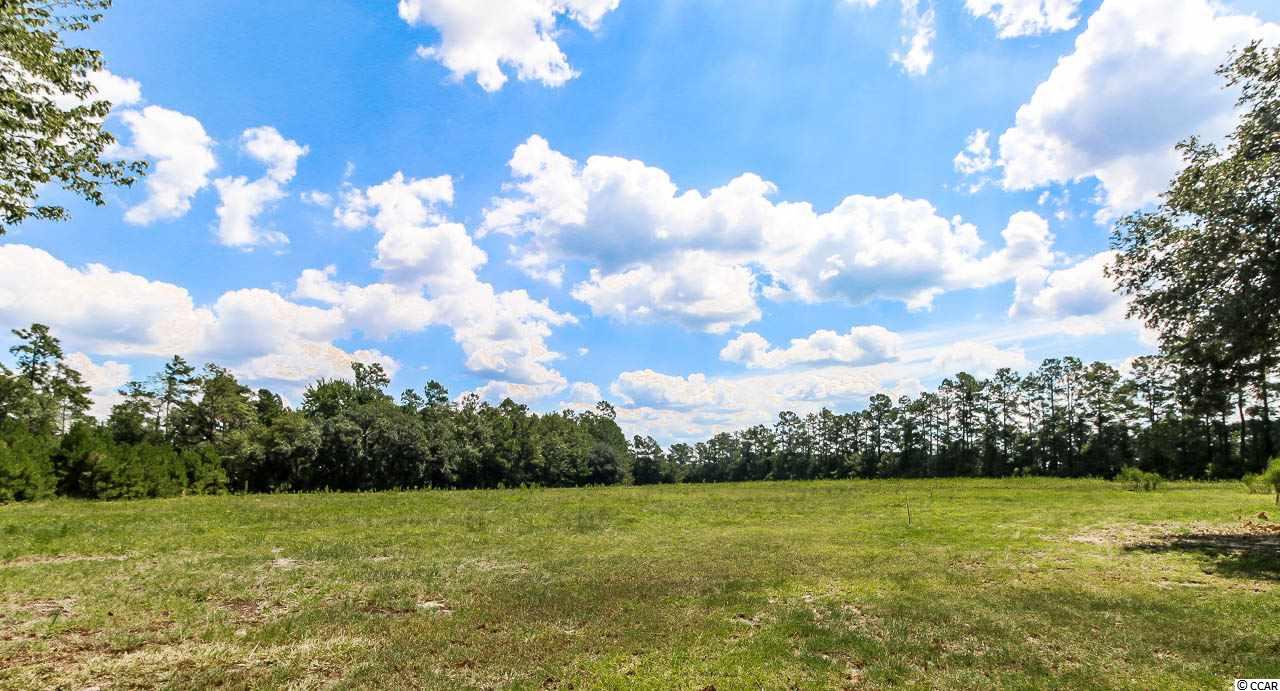 2580 Daisy Road Loris, SC 29569 - Photo 24 of 24 Gallery Image 24
