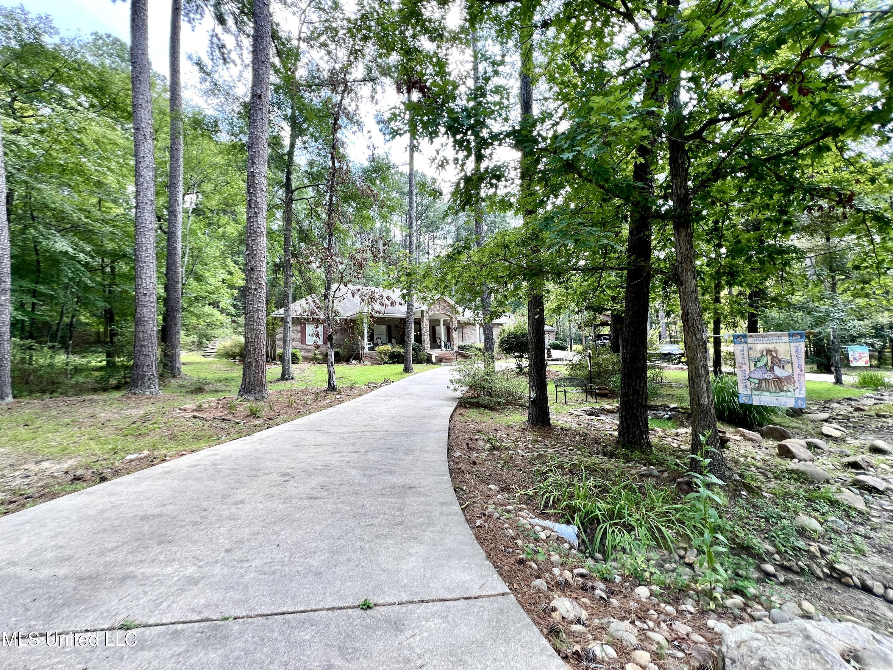 97 Timber Ridge Lane Southeast Meadville, MS 39653 - Photo 11 of 54 IMG_4463