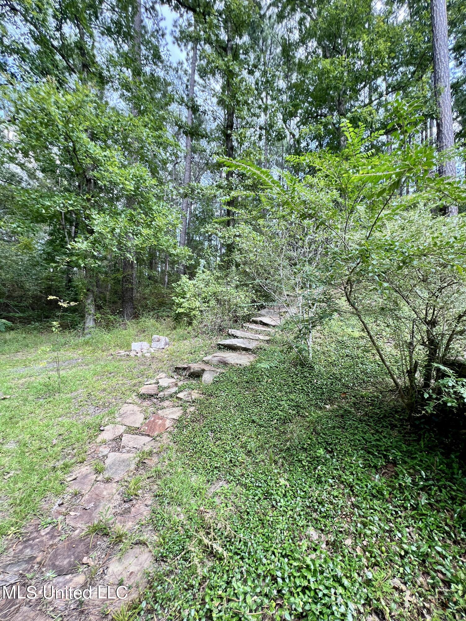 97 Timber Ridge Lane Southeast Meadville, MS 39653 - Photo 19 of 54 IMG_4447