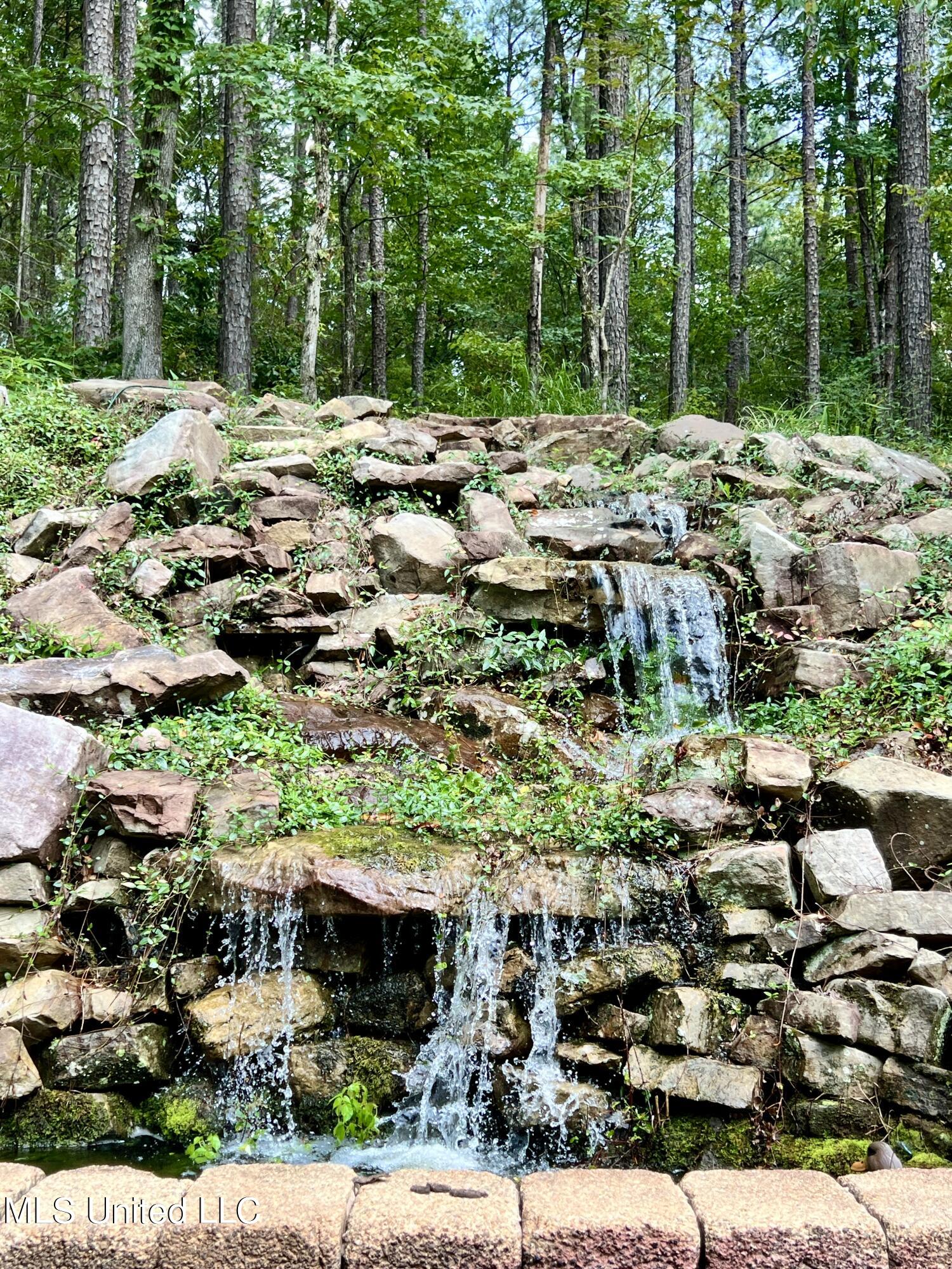97 Timber Ridge Lane Southeast Meadville, MS 39653 - Photo 21 of 54 IMG_4445