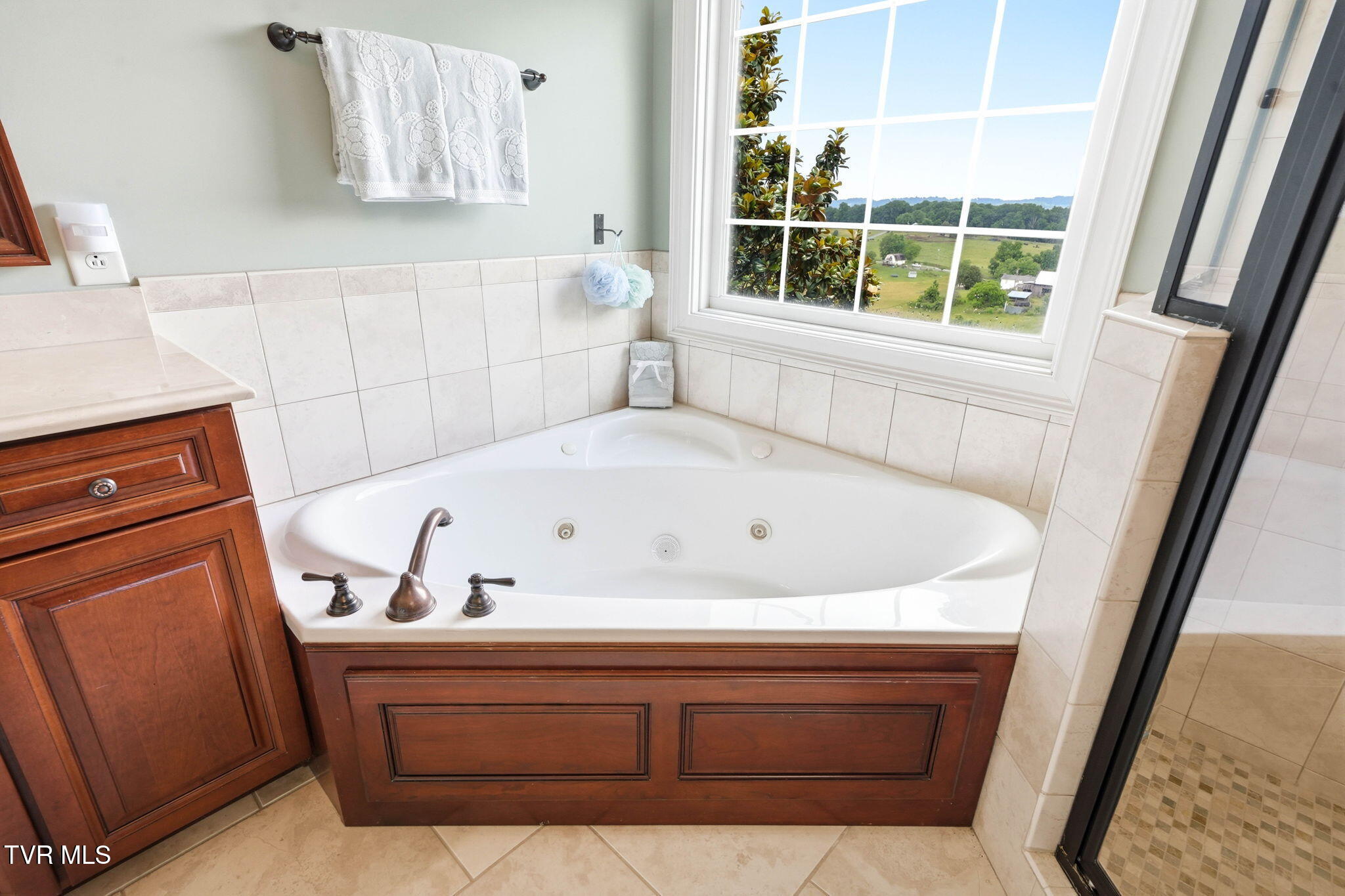286 Sunset Ridge Court Johnson City, TN 37615 - Photo 31 of 75 35-web-or-mls-286 Sunset Ridge-40