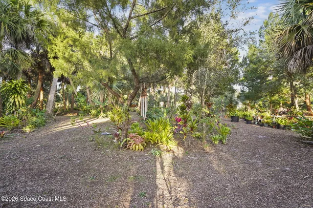 a view of road with trees