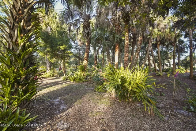 a backyard of a house with lots of green space