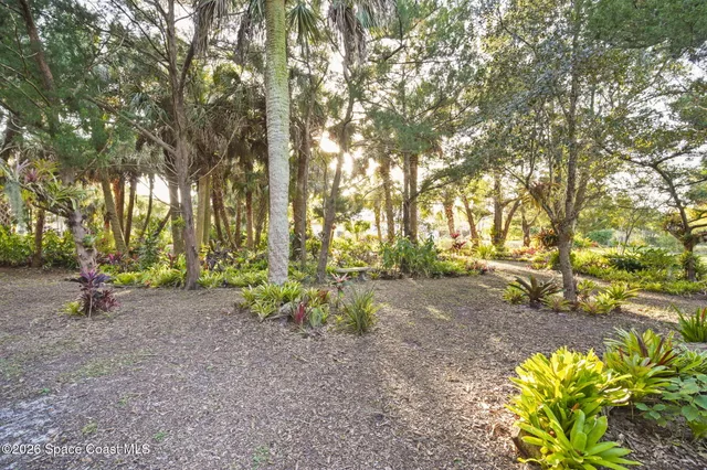 a view of a yard with large trees