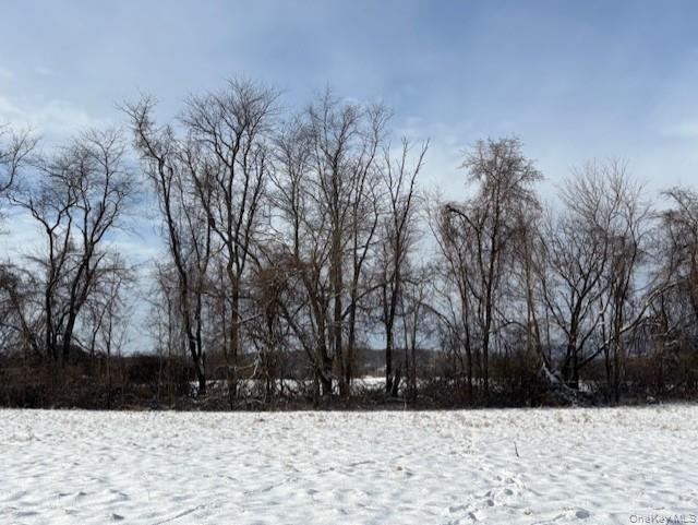 Maizeland Road Red Hook, NY 12571 - Photo 2 of 10 a street view covered with snow