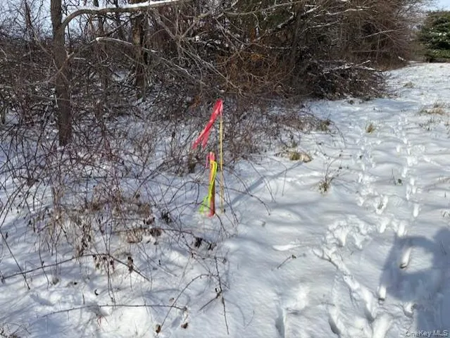 a view of a yard covered with snow