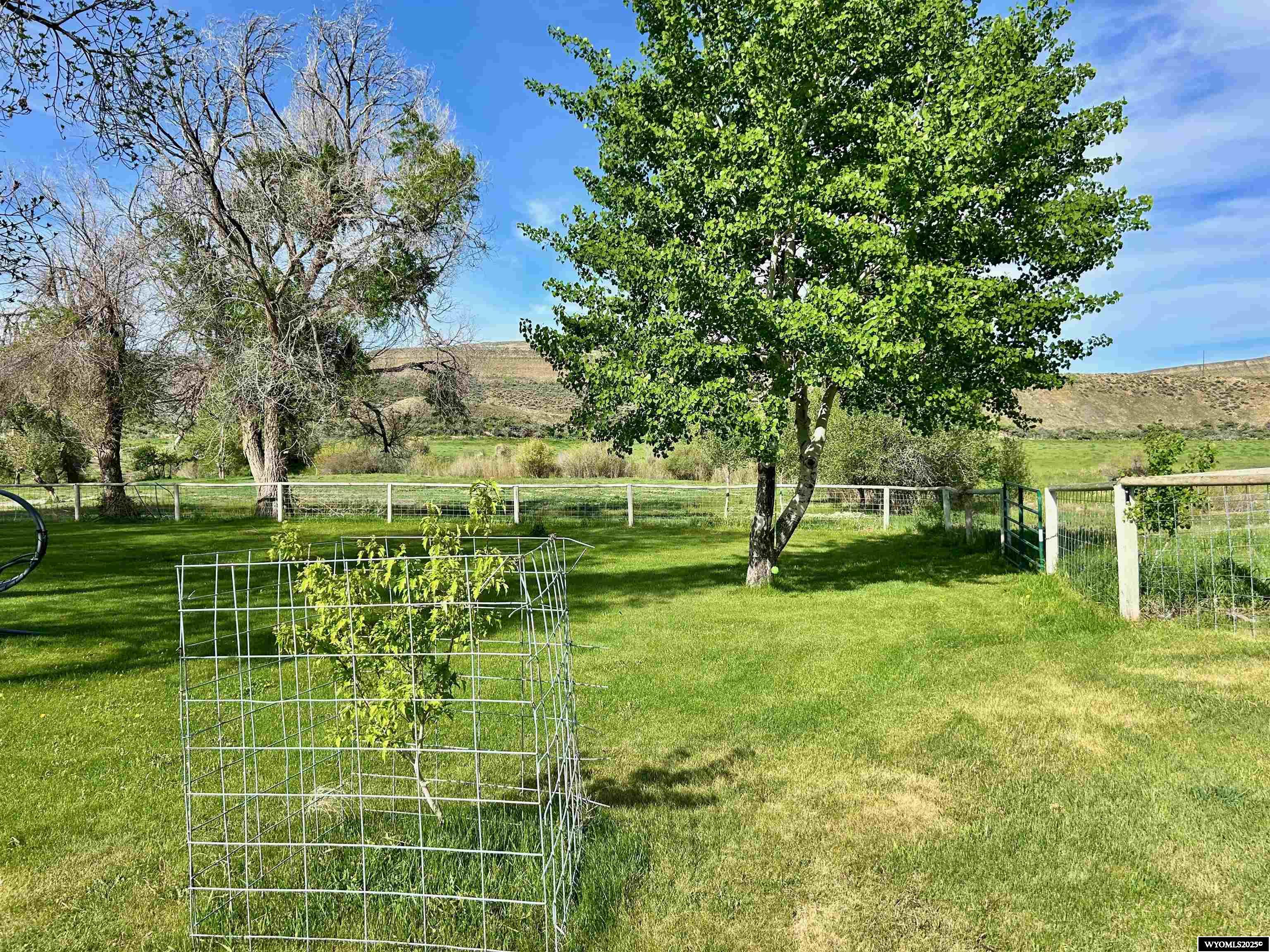2609 Beaver Creek Road Shell, WY 82441 - Photo 45 of 50