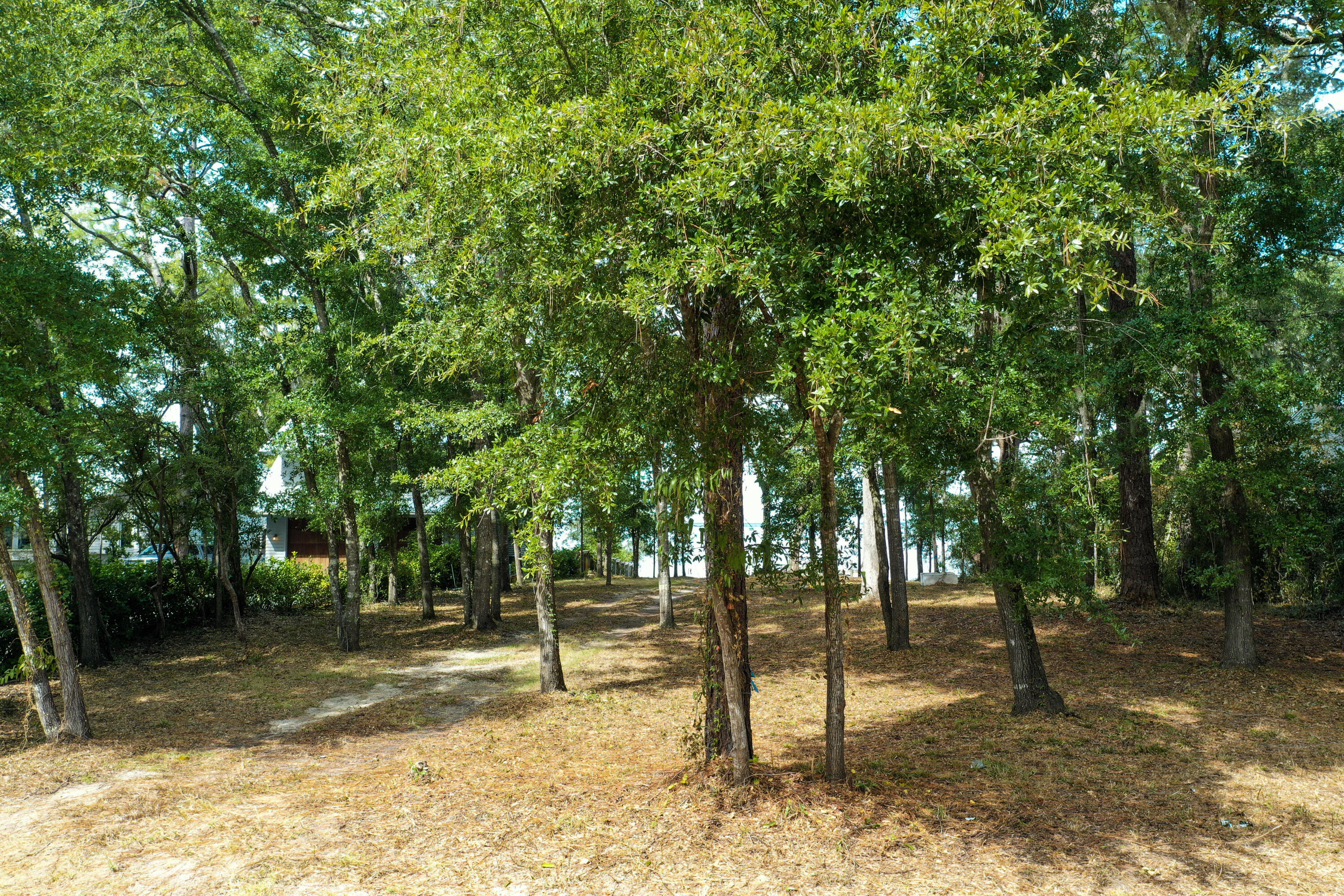 668 Ricker Avenue Santa Rosa Beach, FL 32459 - Photo 3 of 13 25-F7445D7834AE2F06C35DC312C75104CD