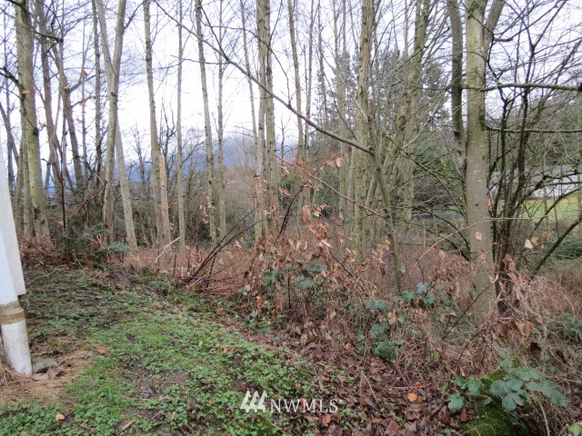 837 Sapp Road Sedro-Woolley, WA 98284 - Photo 19 of 20 Gallery Image 19