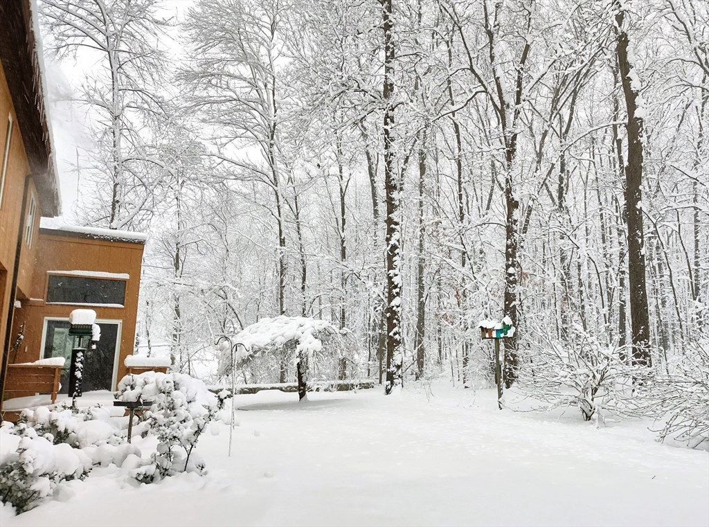 243 Spring Street Shrewsbury, MA 01545 - Photo 35 of 42