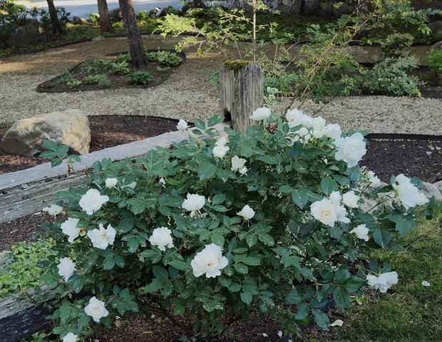 $999,999 | 243 Spring Street, Shrewsbury, MA 01545