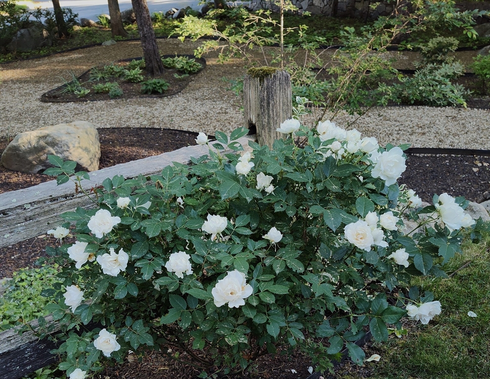 243 Spring Street Shrewsbury, MA 01545 - Photo 36 of 42