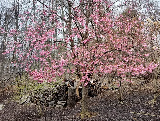 $999,999 | 243 Spring Street, Shrewsbury, MA 01545