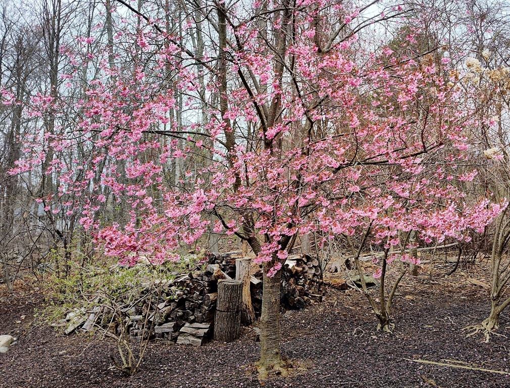 243 Spring Street Shrewsbury, MA 01545 - Photo 37 of 42