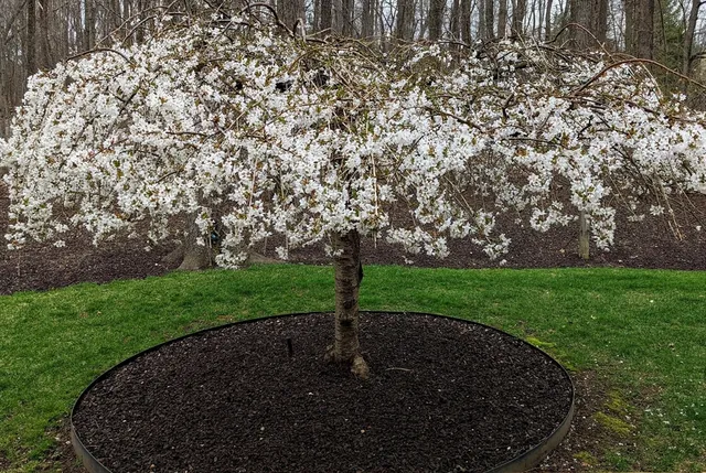 $999,999 | 243 Spring Street, Shrewsbury, MA 01545