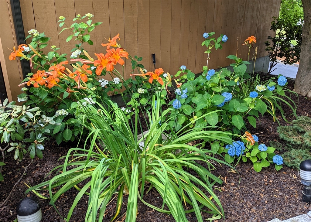 243 Spring Street Shrewsbury, MA 01545 - Photo 40 of 42