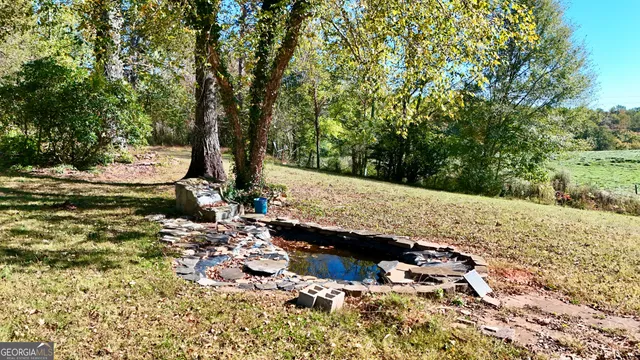 a view of a tree with a yard