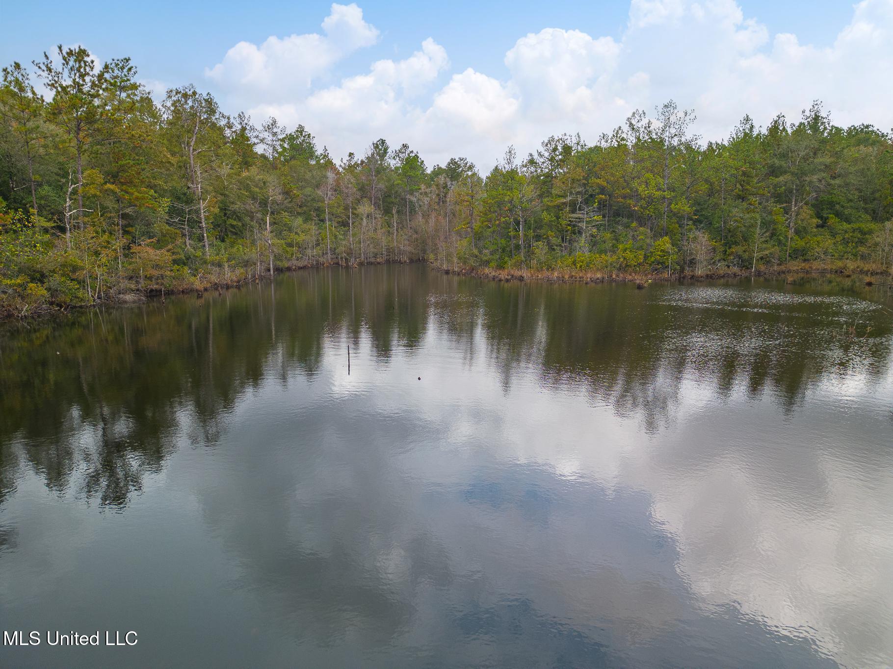 Scott Road Lucedale, MS 39452 - Photo 6 of 30 1000031786