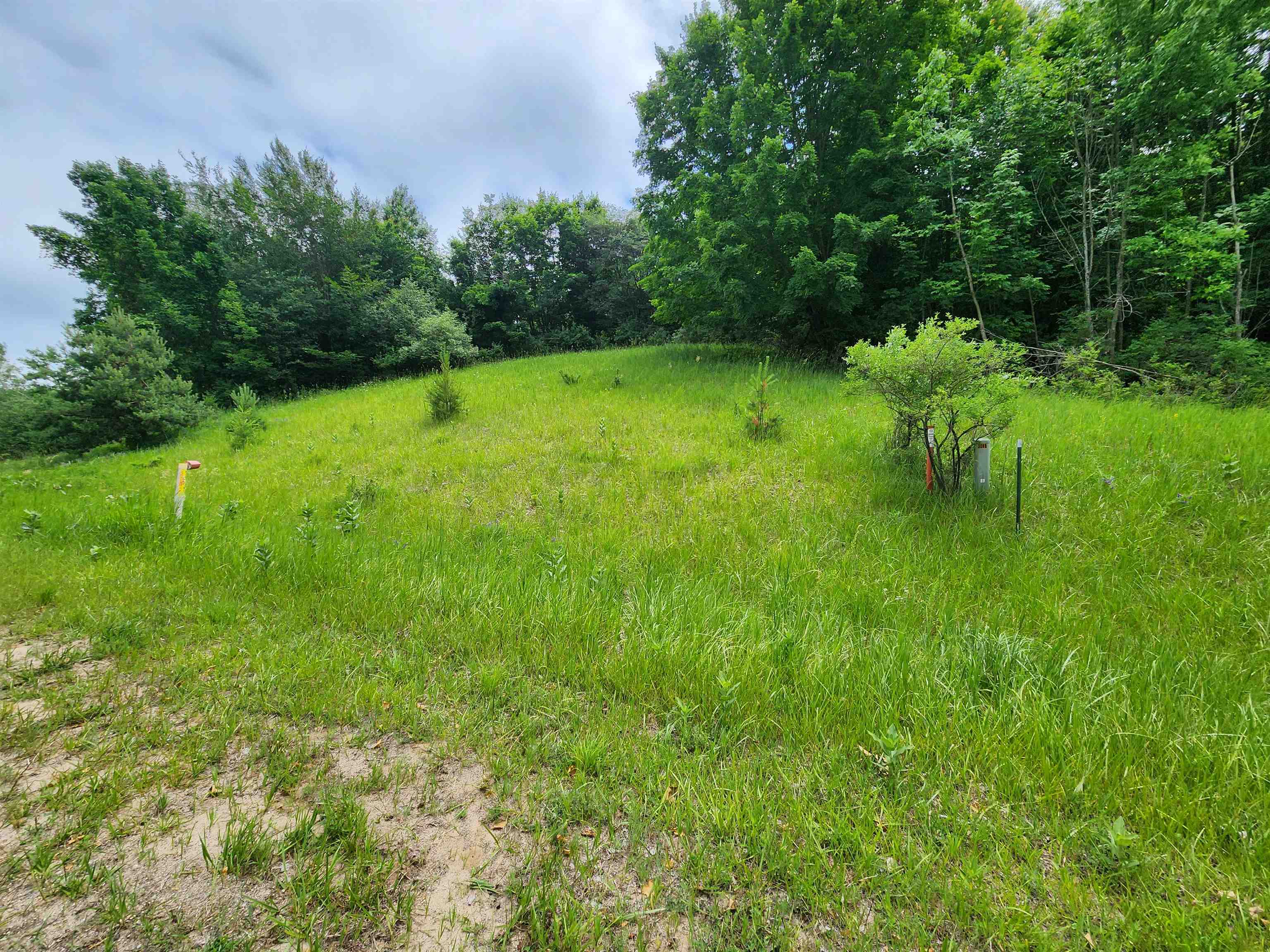 0 Deer Ridge Trail Beulah, MI 49617 - Photo 4 of 39