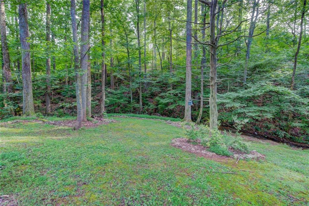 610 Stephany Circle Rural Hall, NC 27045 - Photo 28 of 30 Gallery Image 28