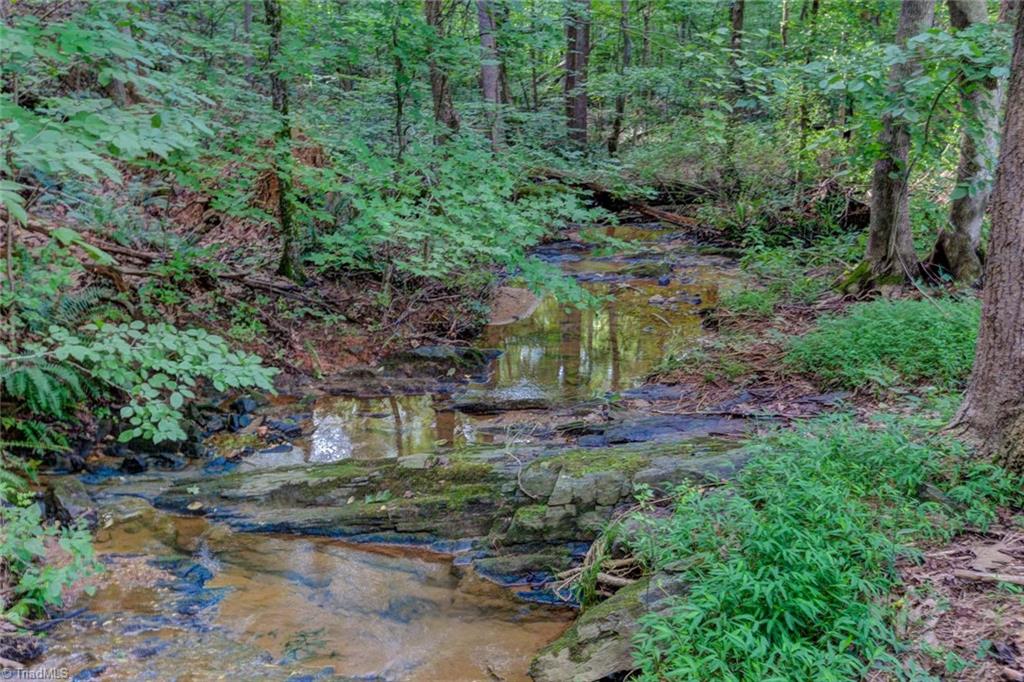 610 Stephany Circle Rural Hall, NC 27045 - Photo 29 of 30 Gallery Image 29